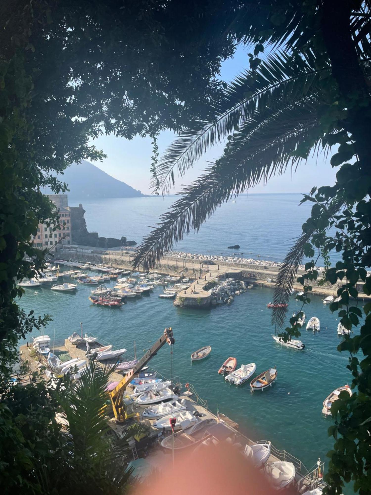 Oasi * Camogli