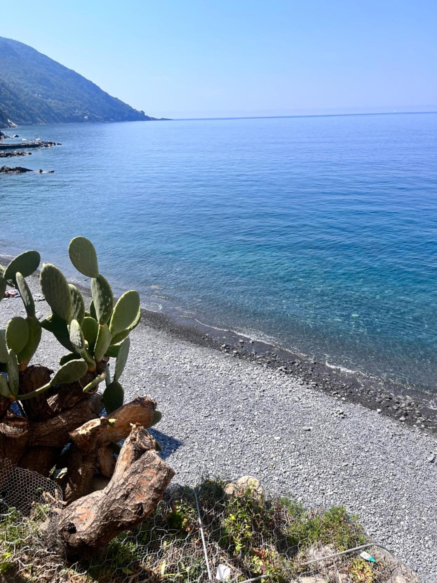 Apartment Oasi Camogli